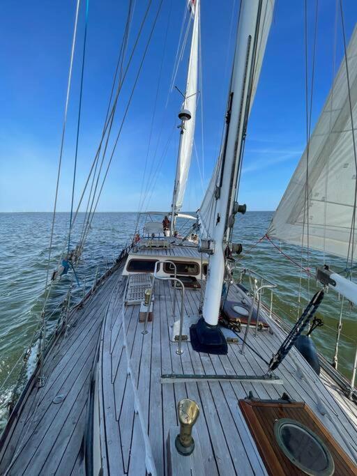 Classic Sailing Ship In Center Of Enkhuizen! Екстер'єр фото